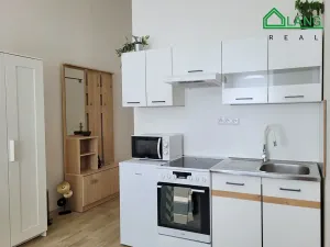 Pronájem bytu 1+kk, Brno, Koliště, 26 m2