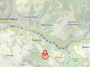 Prodej lesa, Železný Brod, 4901 m2