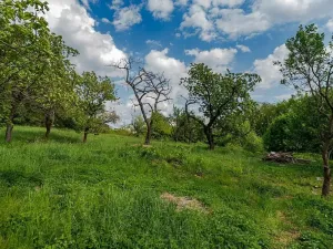Prodej pozemku pro bydlení, Veliny, 1652 m2