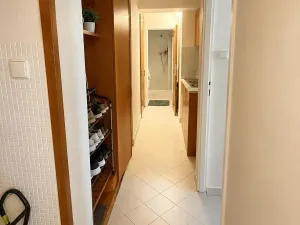 Prodej bytu 2+1, Kralupy nad Vltavou, 58 m2