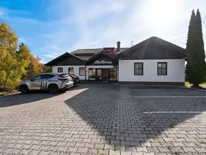 Prodej bytu 2+kk, Železná Ruda, 51 m2