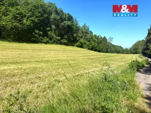 Prodej pole, Zbrašín, 7613 m2