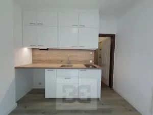 Pronájem bytu 1+kk, Praha - Vinohrady, Balbínova, 14 m2