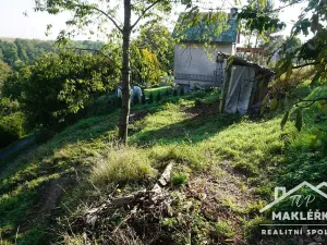 Prodej zahrady, Pašinka, 379 m2