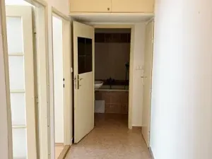 Pronájem bytu 1+1, Praha, V předpolí, 50 m2