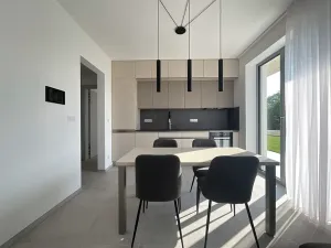 Pronájem bytu 2+kk, Hajany, 50 m2