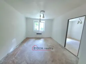 Prodej bytu 2+1, Plzeň, Sudova, 48 m2