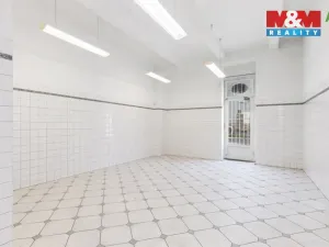 Prodej obchodního prostoru, Louny, Husova, 744 m2