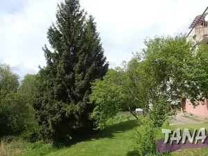 Prodej pozemku pro bydlení, Mladějov, 2297 m2