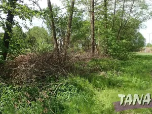 Prodej pozemku pro bydlení, Mladějov, 2297 m2