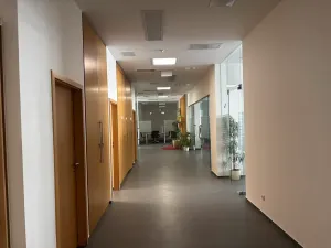 Pronájem kanceláře, Praha - Libeň, U libeňského pivovaru, 384 m2