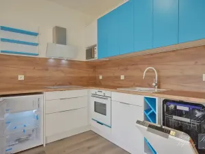 Pronájem bytu 1+kk, Ústí nad Labem, Baráčnická, 30 m2
