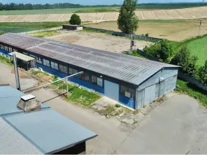 Prodej skladu, Řídký, 983 m2