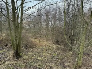 Prodej zahrady, Bechlín, 630 m2