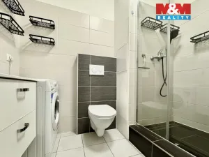 Pronájem bytu 2+1, Chomutov, Blatenská, 51 m2