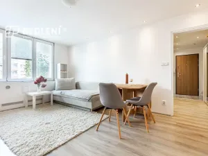 Pronájem bytu 1+1, Teplice, Duchcovská, 37 m2