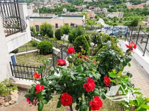 Prodej bytu 2+kk, Bjala, Bulharsko, 46 m2