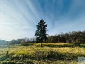 Prodej pozemku pro bydlení, Krnov, 1311 m2