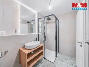 Pronájem bytu 2+kk, Plzeň - Litice, 42 m2