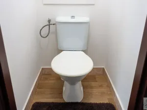 Prodej bytu 6+kk a větší, Březová, 77 m2