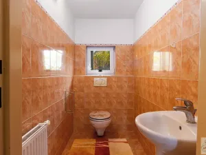 Prodej rodinného domu, Opava, Slezská, 275 m2