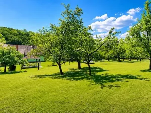 Prodej rodinného domu, Javorník, 185 m2