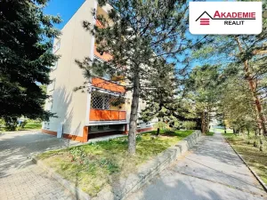 Pronájem bytu 2+1, Brno, Ulrychova, 58 m2