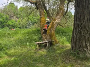 Prodej chaty, Dobronice u Bechyně, 55 m2