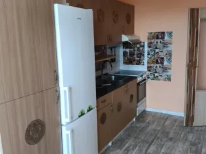Pronájem bytu 1+1, Olomouc - Slavonín, Topolová, 48 m2