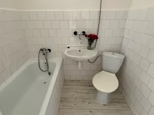 Prodej bytu 1+kk, Frýdek-Místek, El. Krásnohorské, 25 m2