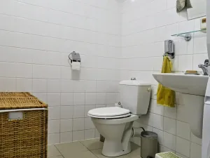 Prodej bytu 4+kk, Brno, Mojžíšova, 133 m2