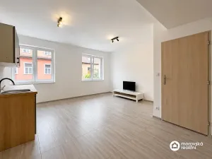 Prodej bytu 1+kk, Brno, Viniční, 27 m2