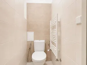 Pronájem bytu 2+kk, Praha - Vinohrady, Mánesova, 53 m2