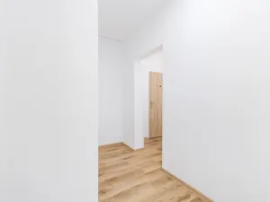 Prodej bytu 2+kk, České Budějovice, K. Chocholy, 48 m2