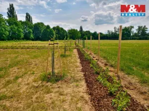 Prodej zahrady, Hradec Králové, 1000 m2