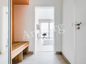 Pronájem bytu 2+kk, Praha - Karlín, Breitfeldova, 40 m2