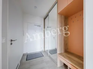 Pronájem bytu 2+kk, Praha - Karlín, Breitfeldova, 40 m2