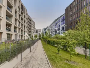 Pronájem bytu 2+kk, Praha - Karlín, Breitfeldova, 40 m2