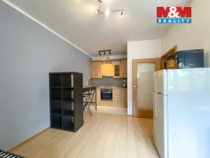 Pronájem bytu 1+kk, Praha - Košíře, Plzeňská, 31 m2