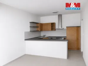 Pronájem bytu 2+kk, Řitka, Za Štěpnicí, 53 m2