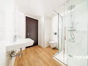 Pronájem bytu 2+kk, Olomouc, Třída Jiřího Pelikána, 46 m2