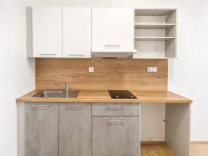 Pronájem bytu 1+kk, Syrovice, 26 m2