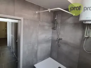 Pronájem skladu, Zlín, Šedesátá, 240 m2