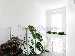 Pronájem kanceláře, Brno, Vinohradská, 15 m2