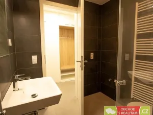 Pronájem bytu 1+kk, Praha, Štěchovická, 45 m2