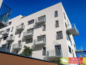 Pronájem bytu 1+kk, Praha, Štěchovická, 45 m2