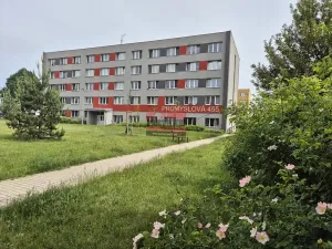 Prodej bytu 1+kk, Planá nad Lužnicí, Průmyslová, 19 m2