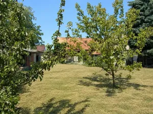 Prodej rodinného domu, Kostelec nad Labem, Alšova, 173 m2