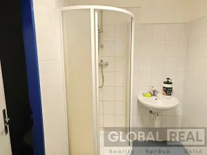 Pronájem výrobních prostor, Jihlava, Znojemská, 200 m2