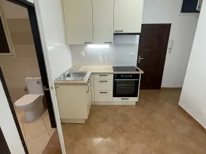Pronájem bytu 1+kk, Praha - Břevnov, Bělohorská, 40 m2